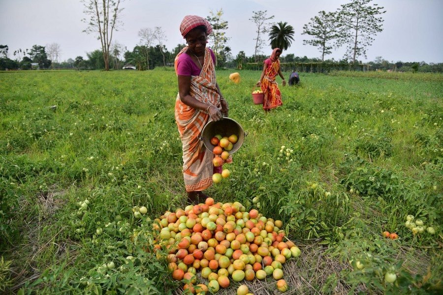 Women Farmers