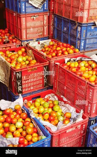 Tomato Crates