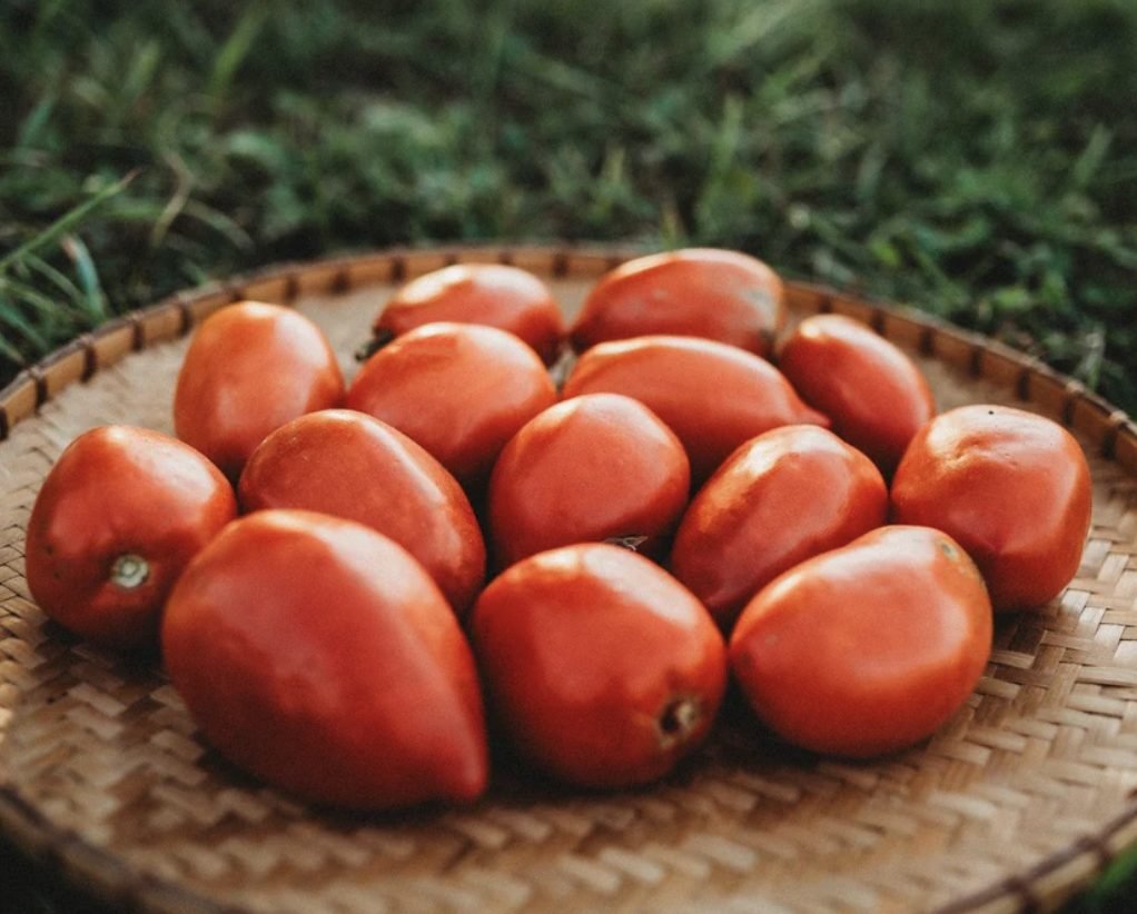 Farm Fresh